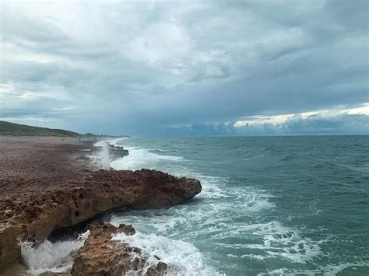 Bask in the Splendor of Local Nature