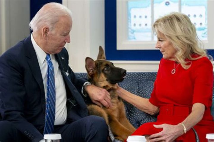 Biden's dog Commander bites secret service officer