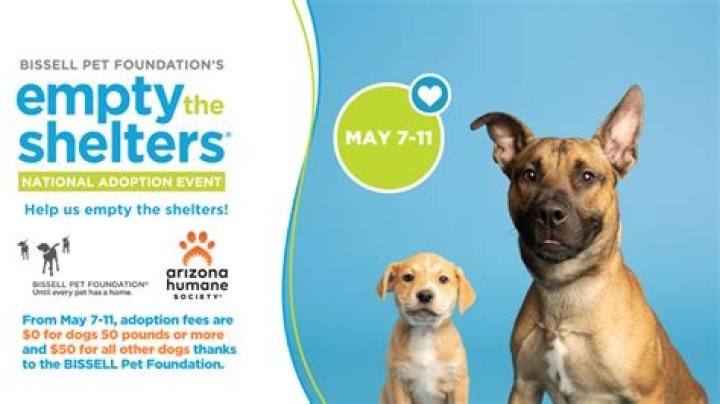 Blackfoot animal shelter hosts 'empty the shelters' event