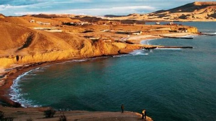 deGeneration X: Buck Naked Jazz on a Black Sea Beach