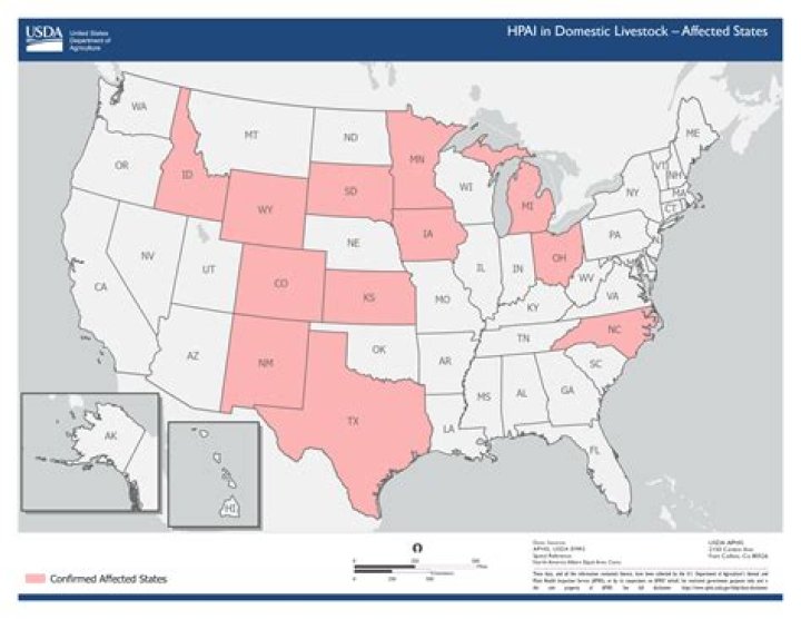 Dog Respiratory Illness Map Shows 14 States Affected