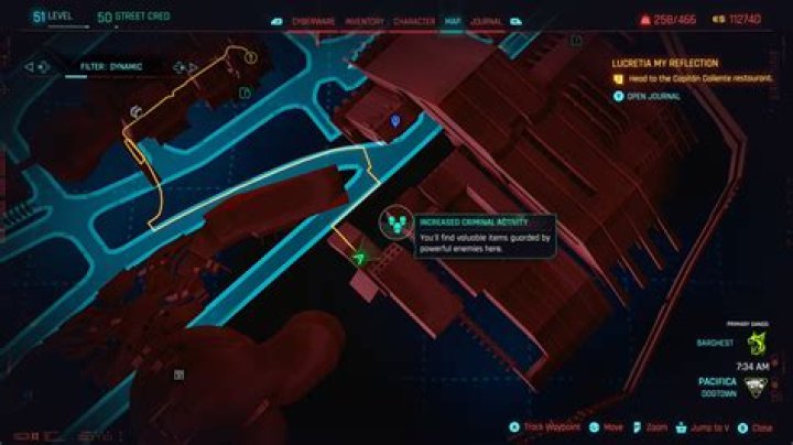 Dutch Police Hint at Criminal Activity in Women's Disappearance