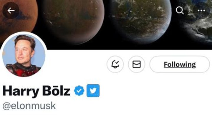 Elon Musk's Latest Twitter Antics: Who or What is Harry Bolz?