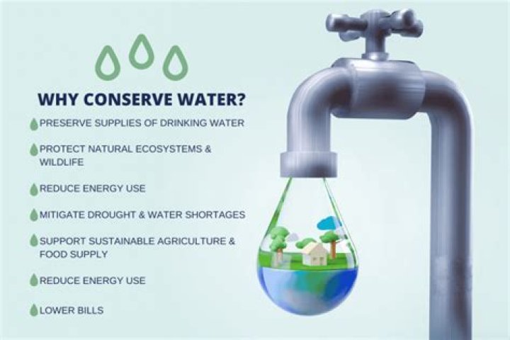 Fellatio not a way to avoid fine