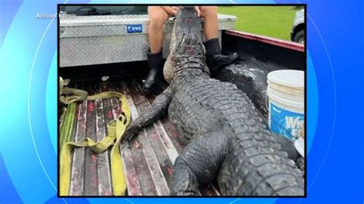 Florida family's lawsuit claims fatal alligator attack was preventable