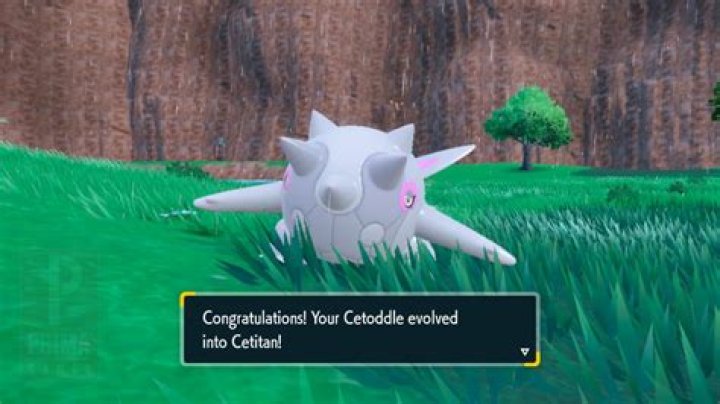 How to Get Cetoddle and Evolve into Cetitan in Pokemon Scarlet and Violet