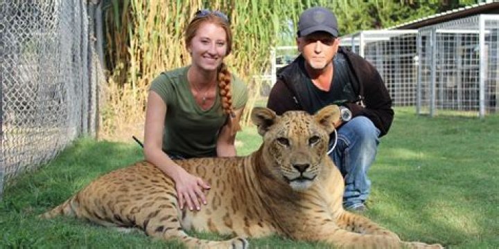 Jeff Lowe From 'Tiger King' Permanently Banned From Exhibiting Animals
