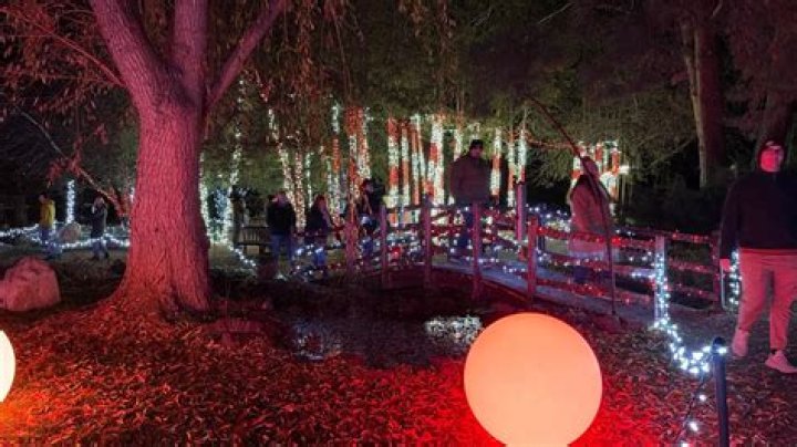 Kick off December with festive weekend events in Boise: Parade, lights and vintage market days await