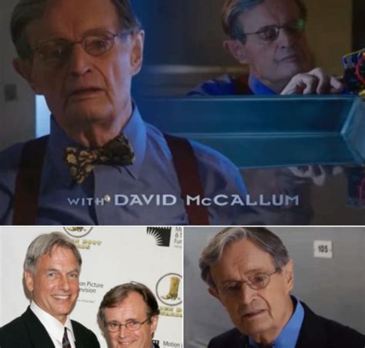 NCIS’ Brian Dietzen explains the subtle change that made all the difference in the show’s tribute to David McCallum 