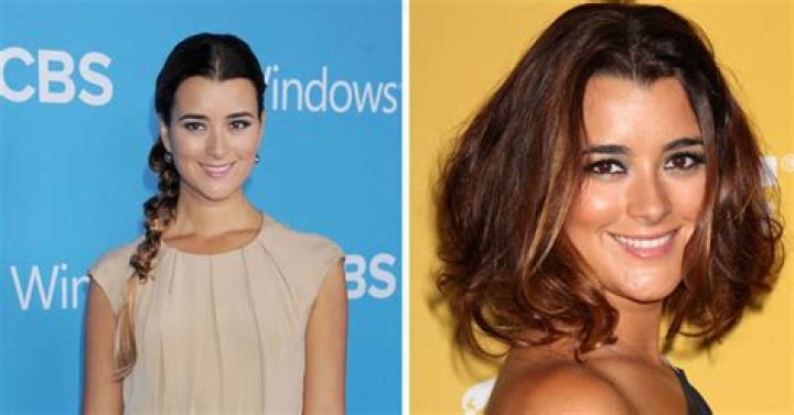‘NCIS’ star Cote de Pablo opens up about her relationship with Mark Harmon – this is why she left the iconic show