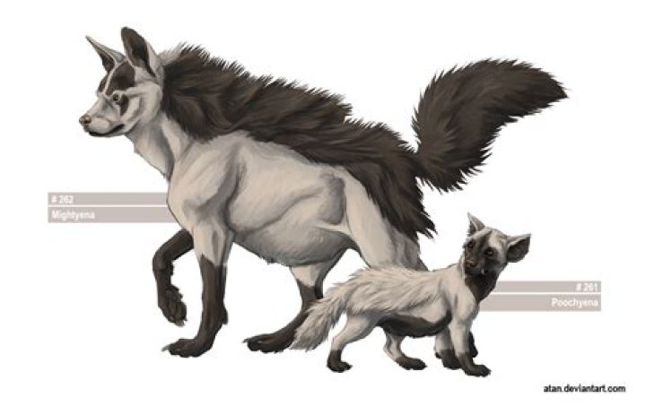 On the Origin of Species: Poochyena and Mightyena