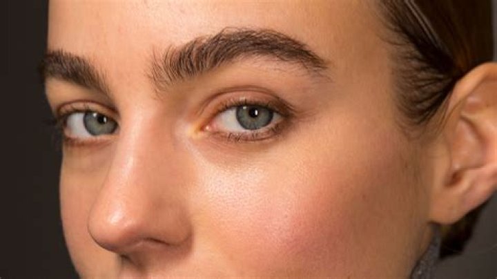 Plume Brows Are The Trend Everyone Is Rocking On Instagram