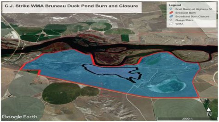 Prescribed burn will result in closure of Bruneau Duck Ponds segment of C.J. Strike WMA