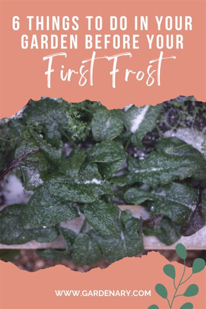 Protect your garden now, before the first frost of the year arrives