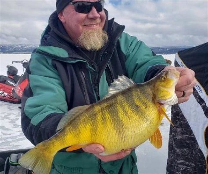 Record-breaking yellow perch caught in Lake Cascade