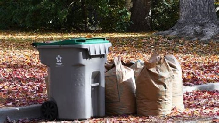 Staffing shortages cause leaf collection, glass recycling temporary changes in Boise