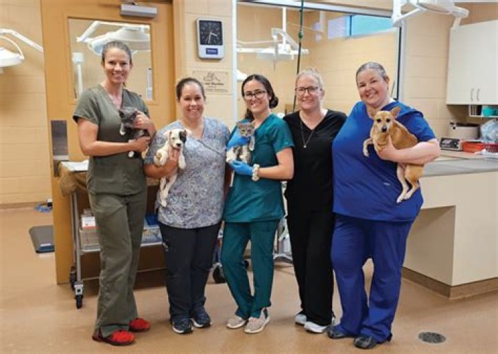 The FACES of Shelter Medicine