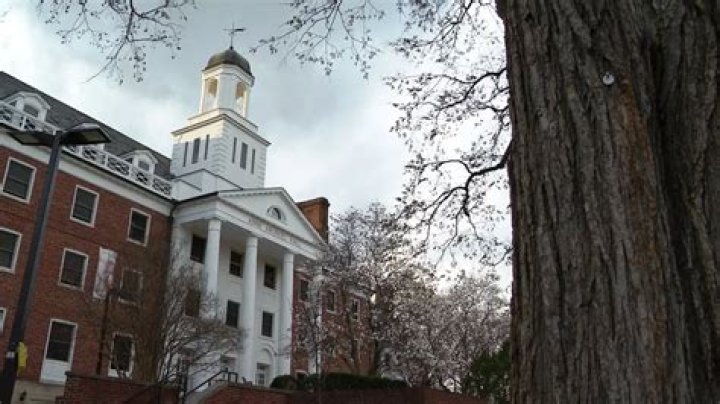 University in Md. investigating message referencing the Holocaust written on campus during