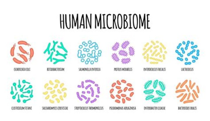 VOTE: Should states have the ability to ban candidates from the ballot?